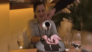 Chocolate para comer