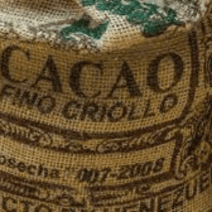 Venezuela tiene uno de los mejores Sabores de Cacao